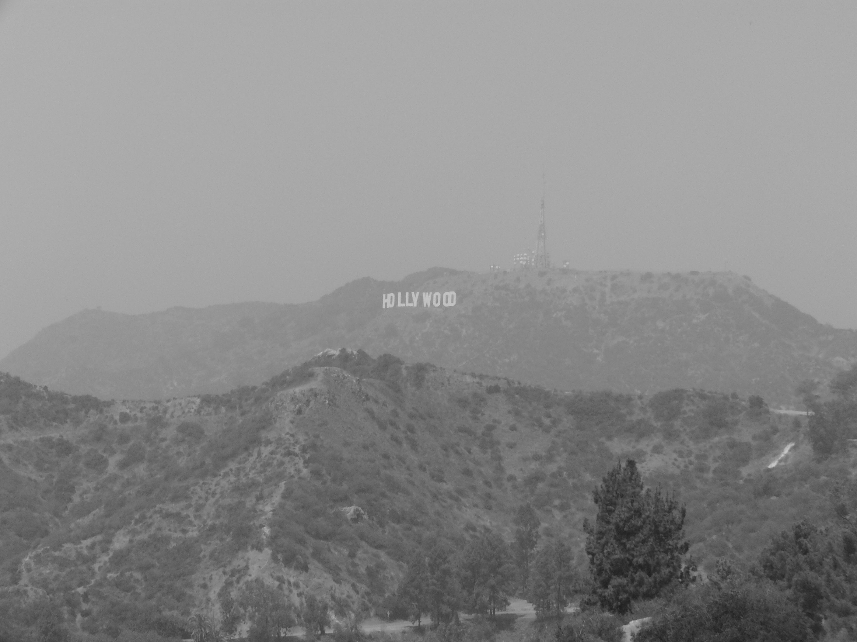 lalaland photography prints