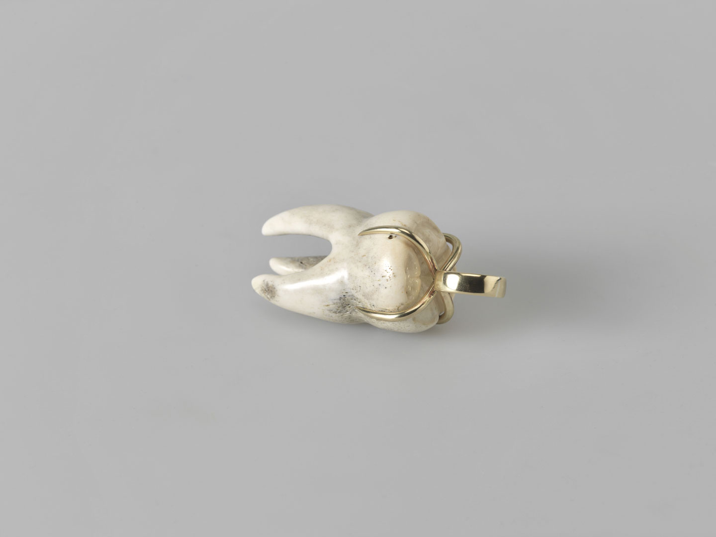 trophäe II objects contemporary art jewelry