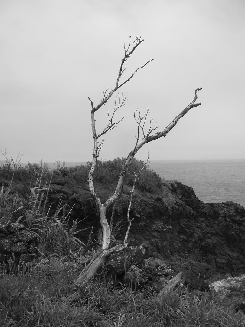 azores photography prints