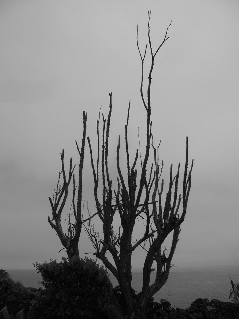 azores photography prints