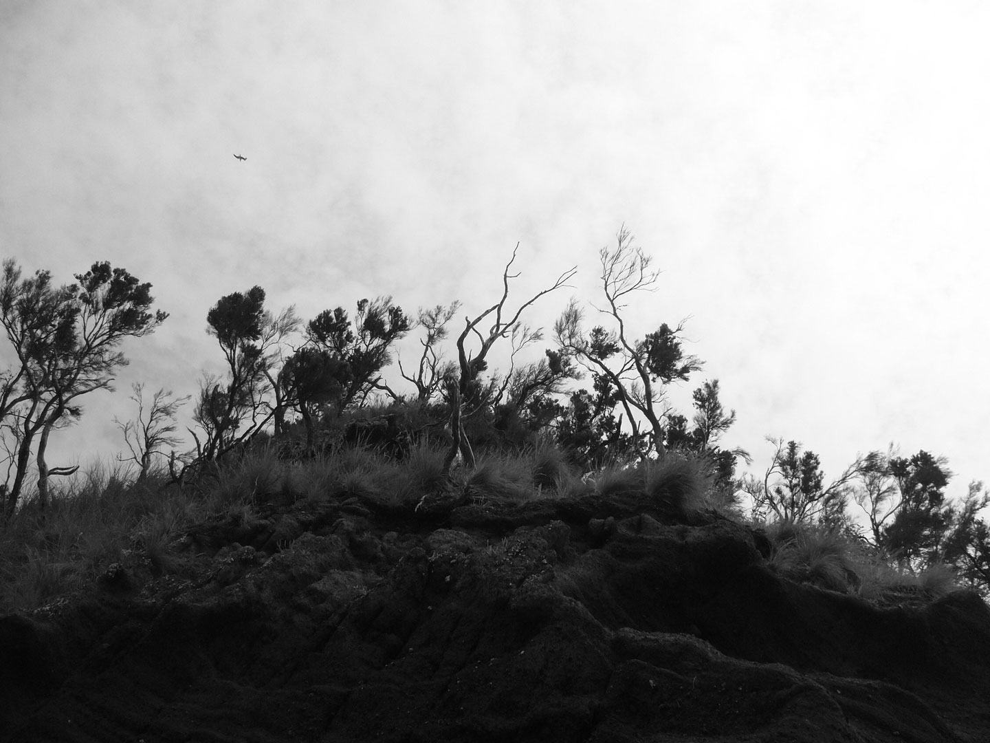 azores photography prints